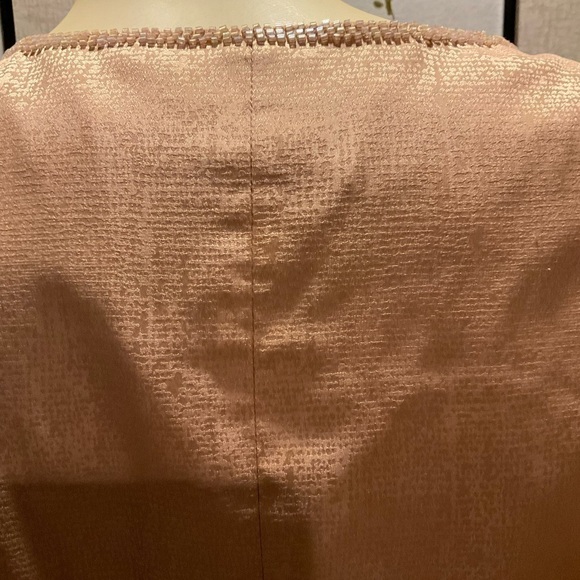 ADRIANNA Papell 100% Silk Two Pc Dress with Beaded Trim - Picture 5 of 11